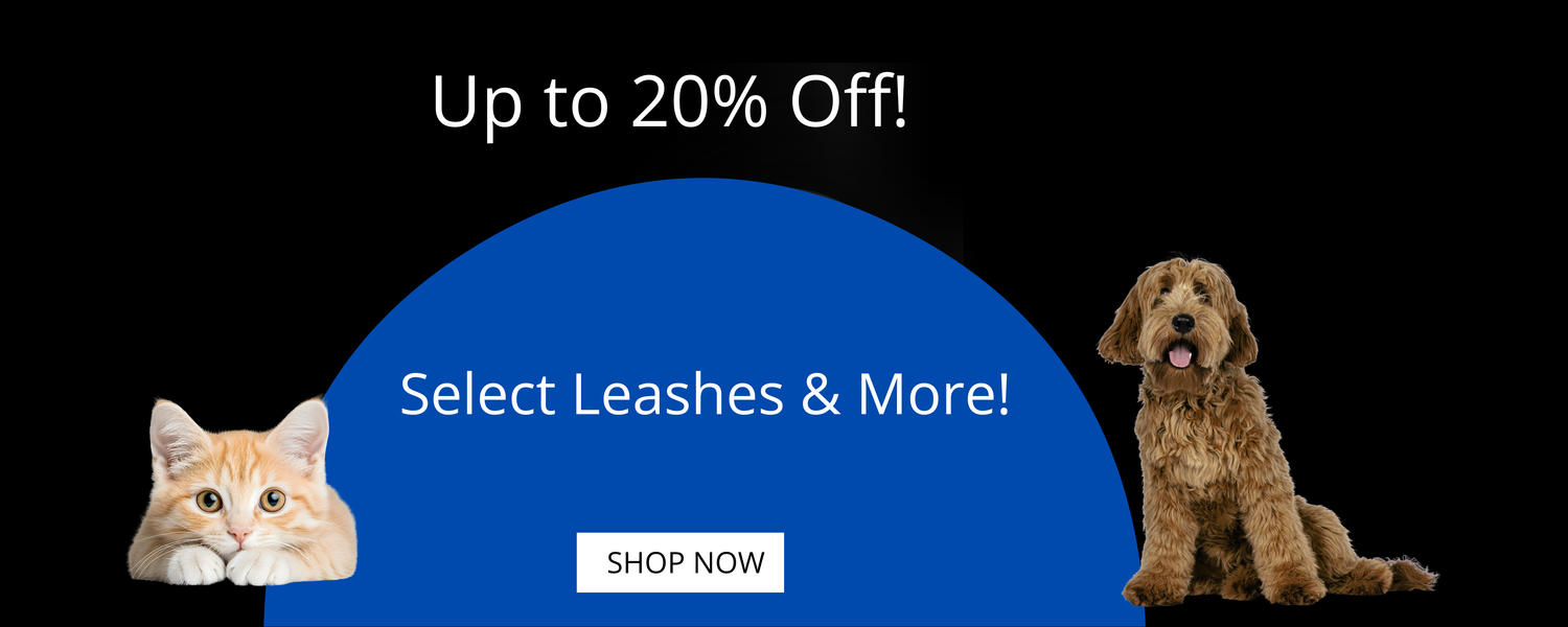 Discounted Leashes & More