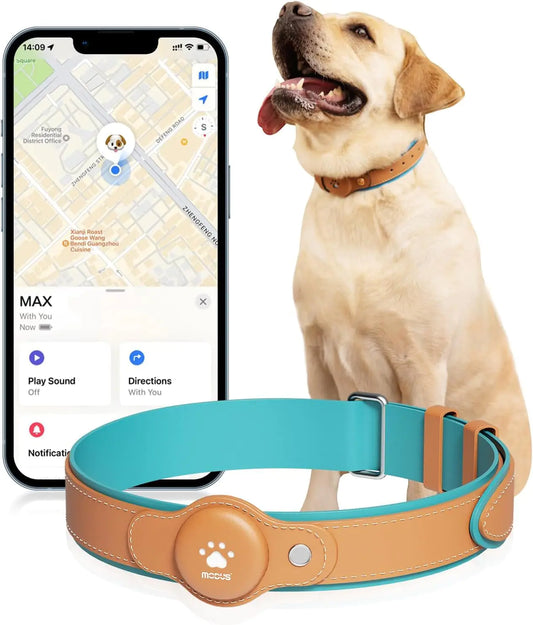 GPS Tracking Smart Collar (Only iOS)
