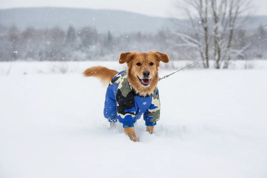 CozyPaw Warm Winter Dog Coat